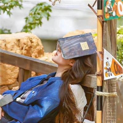 华盛顿的盔甲第一卷：旅程